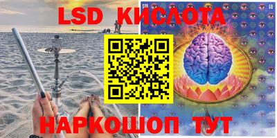 стаф Будённовск
