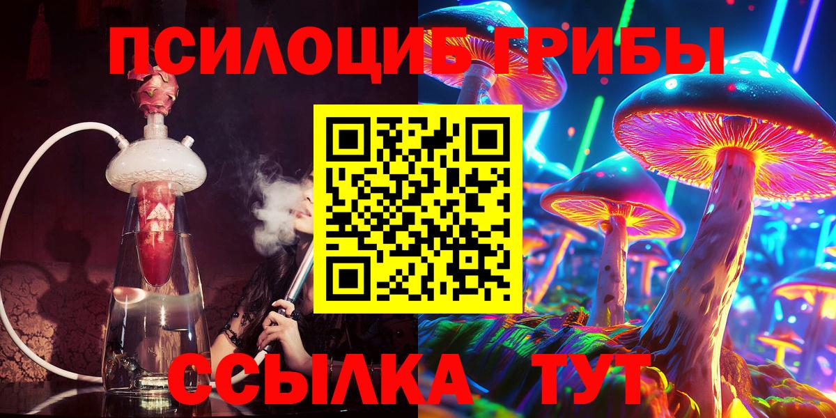 Галлюциногенные грибы Psilocybine cubensis Тутаев