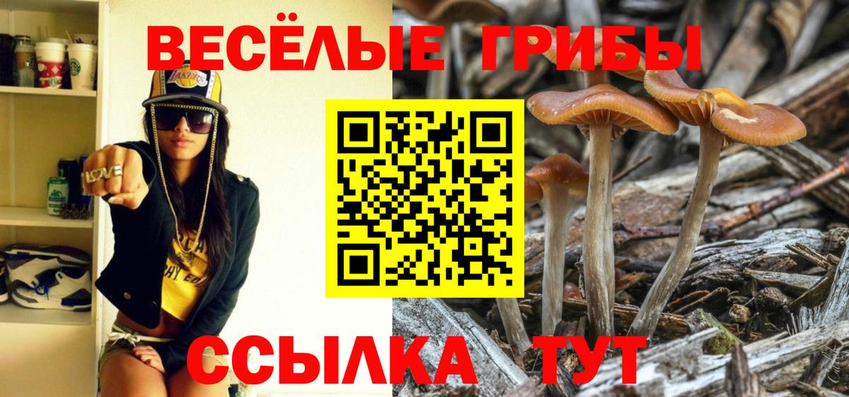 Галлюциногенные грибы Cubensis  Вход с VPN  Тутаев 